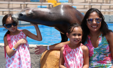 Mommy and Me @ Miami Seaquarium®