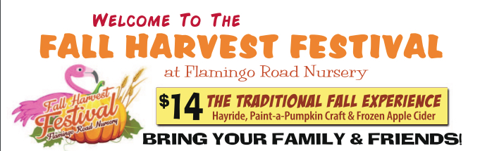 Flamingo Road Nursery Fall Harvest Festival