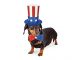 Tips to keep your pets safe this Independence Day
