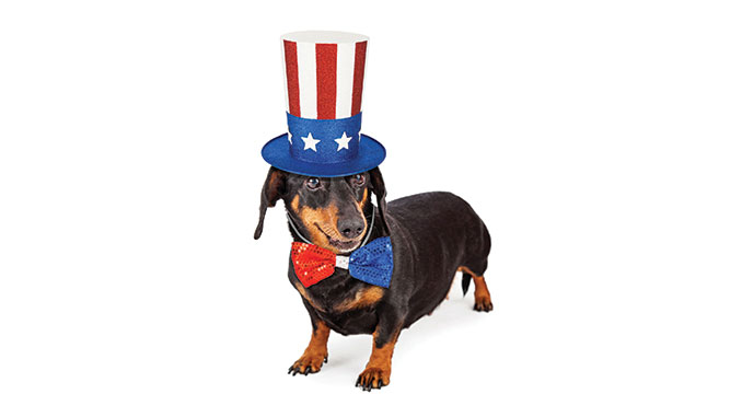 Tips to keep your pets safe this Independence Day