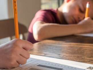 Tips for Homeschool Success