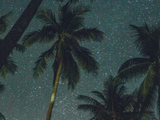 Surrounded by the Stars in South Florida