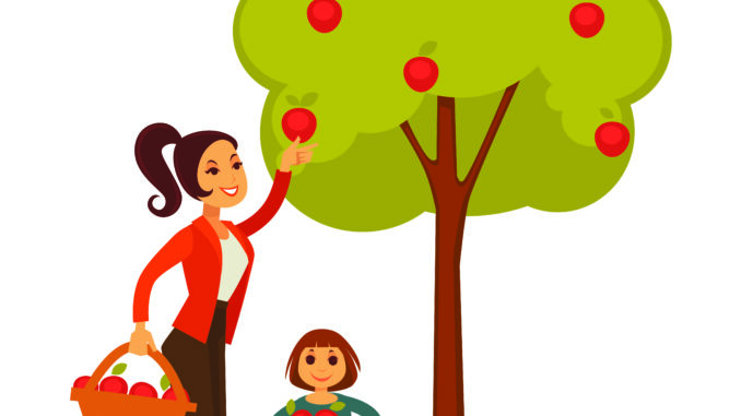 Mother and daughter picking apples from tree to basket